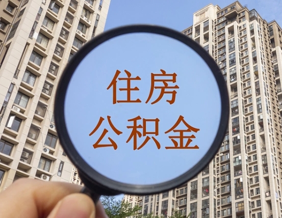 怒江退休后查不到公积金明细了吗（退休后公积金查询不到原因）